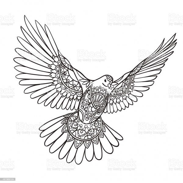 Крыло птицы эскиз