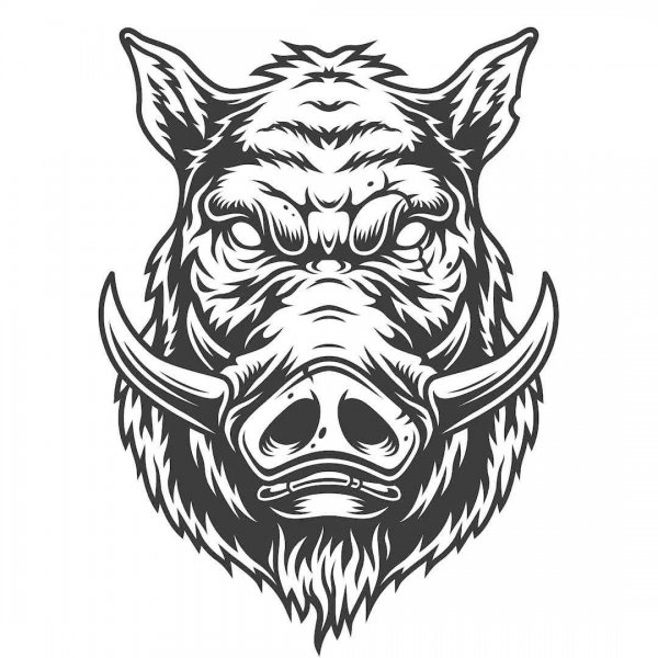 Тату кабана эскизы