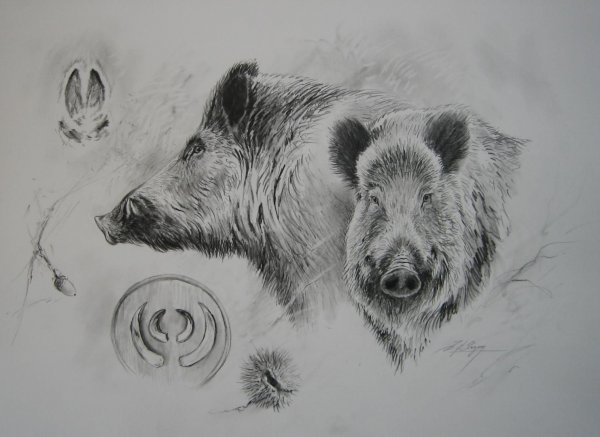 Кабан зарисовка