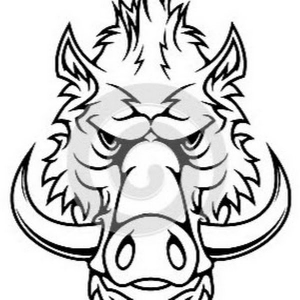 Кабан эскиз