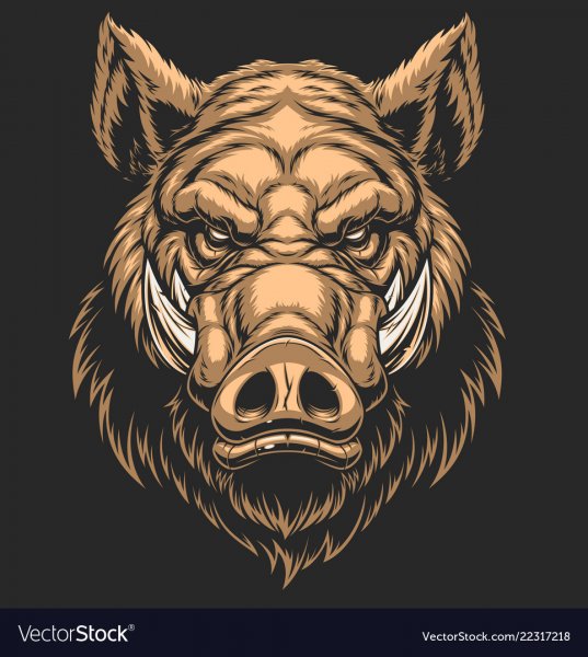 Морда кабана тату