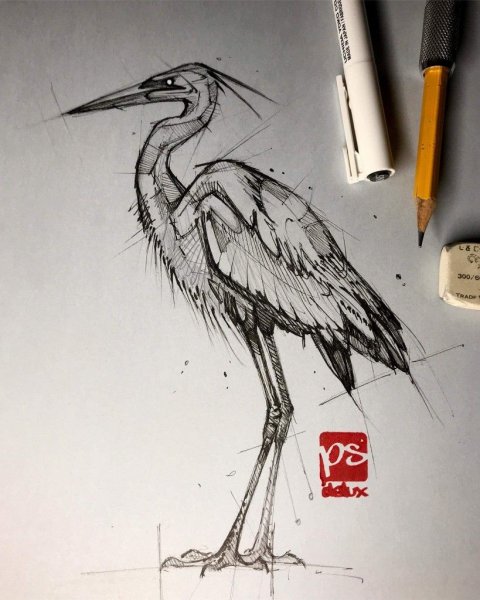 Журавль эскиз