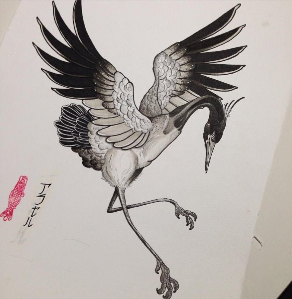 Тату Аист эскизы