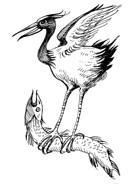 Аист эскиз