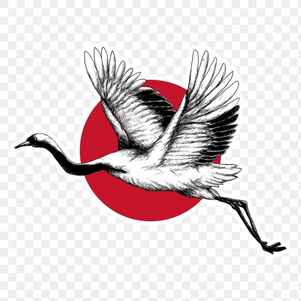 Журавль эскиз