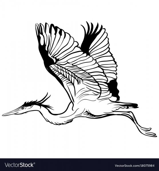 Аист тату Графика