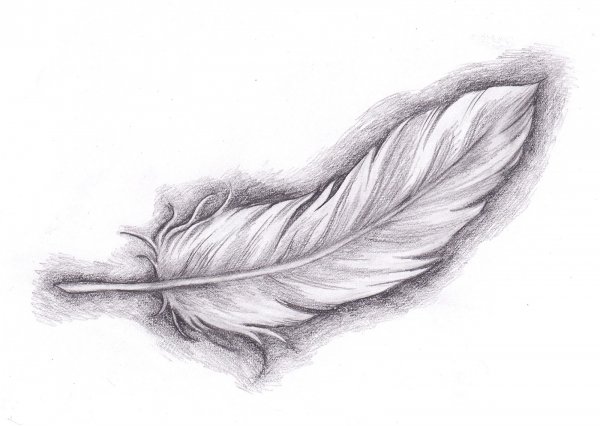 Перо тату эскиз