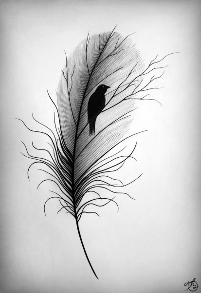 Белое перо на черном фоне