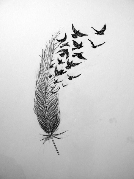 Татуировка перышко эскиз