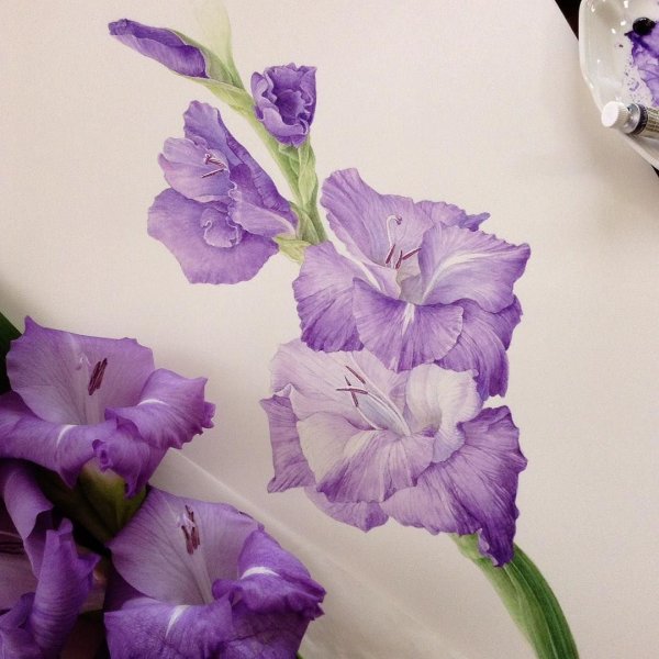 Цернобелая тату Гладиолус