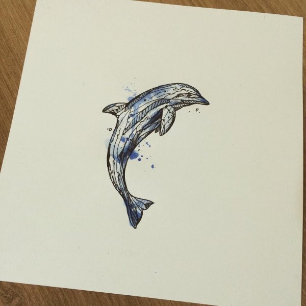 Эскиз дельфина тату