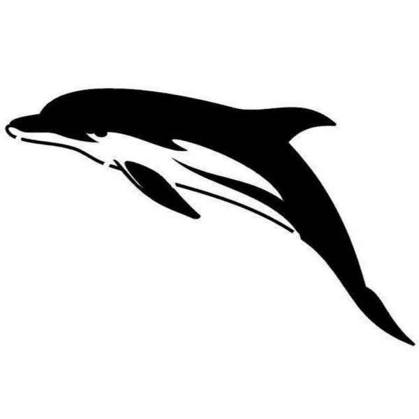 Тату 2 дельфина