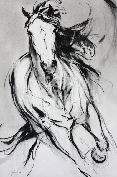 Наброски лошадей