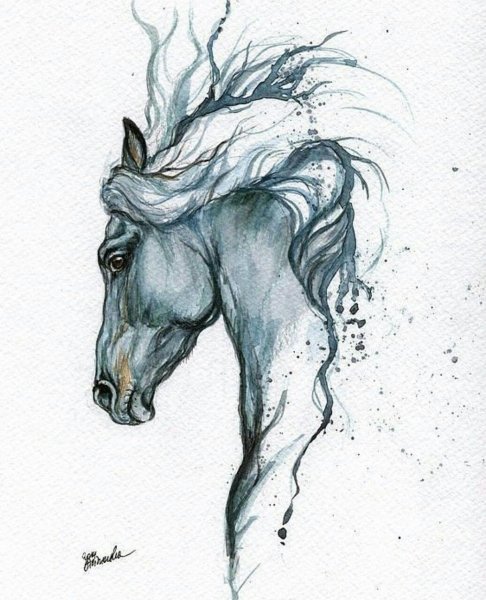 Конь Графика