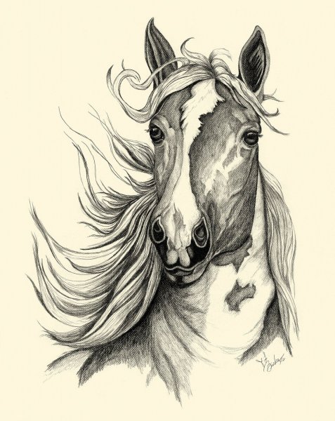 Тату лошадь эскизы