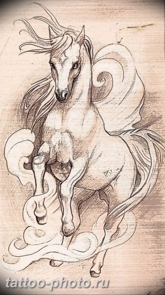 Лошадь эскиз