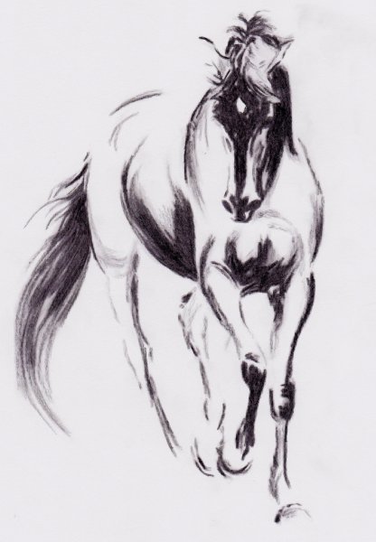 Конь Графика