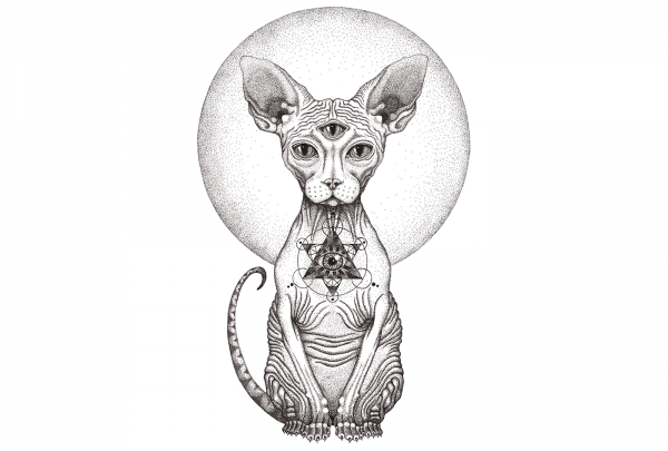 Кот сфинкс тату