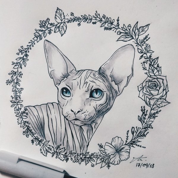 Тату сфинкс эскиз