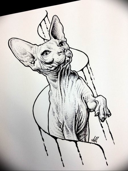 Сфинкс кошка тату эскиз