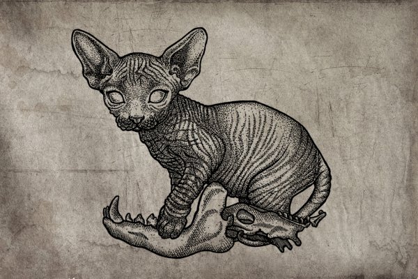 Сфинкс дотворк