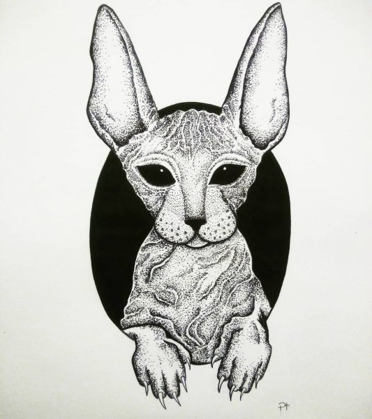 Сфинксы кошки тату дотворк