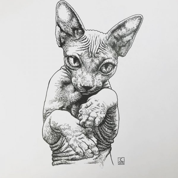 Трехглазый сфинкс