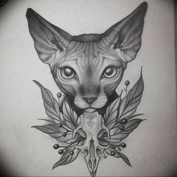 Тату сфинкс кошка