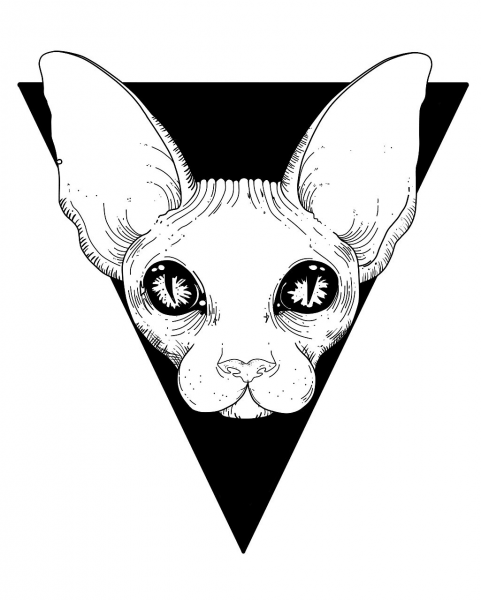 Кот тату эскиз