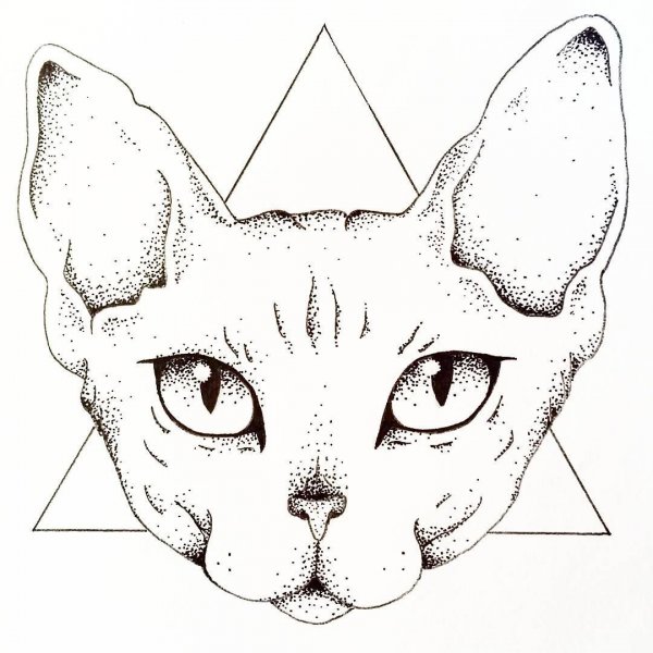 Эскиз мордочки кошки