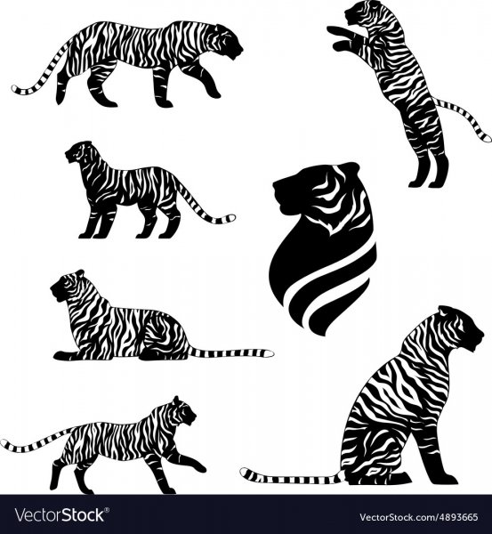 Изображение тигра стилизованные