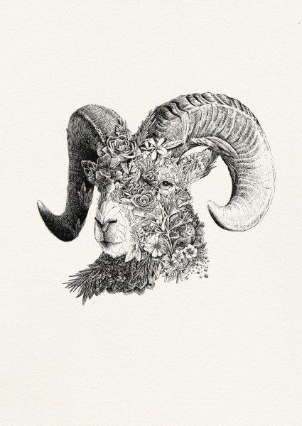 Эскизы тату Aries Овен