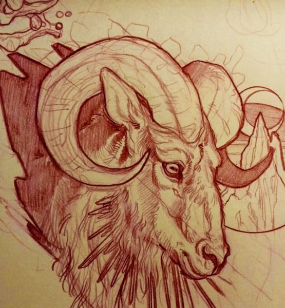 Козерог эскиз