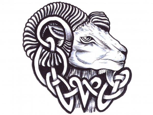 Голова барана тату