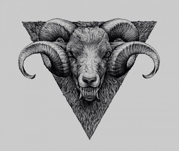 Голова овна