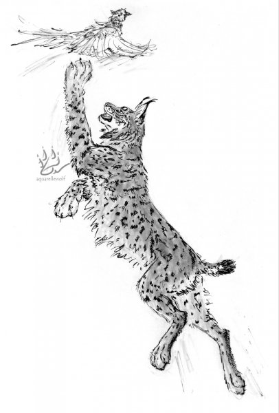 Рысь арт эскиз
