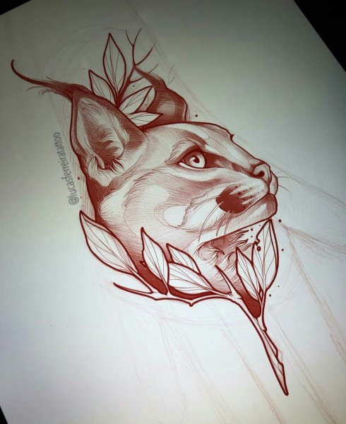 Рысь Графика эскиз