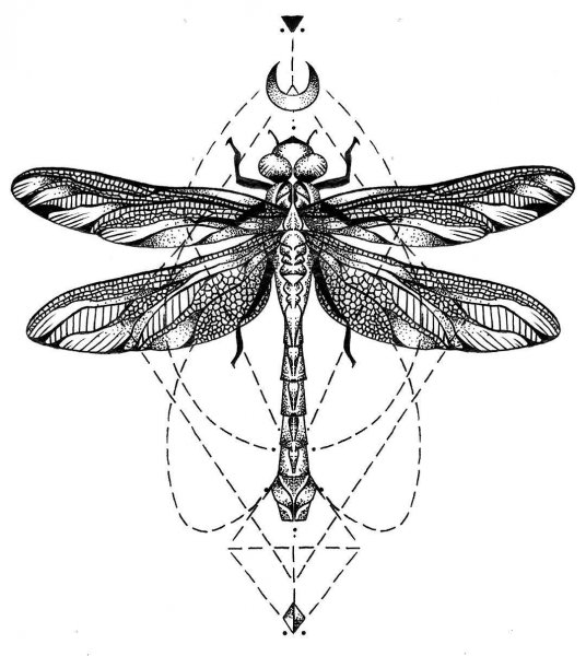 Мотылек Графика