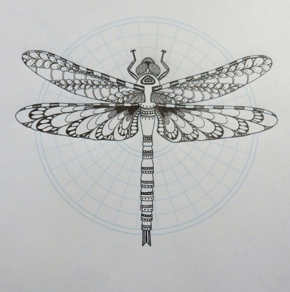 Стрекоза стилизация