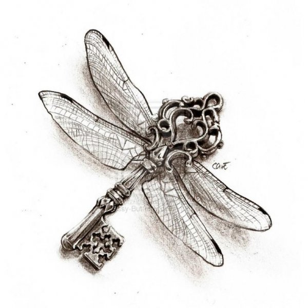 Стрекоза Графика