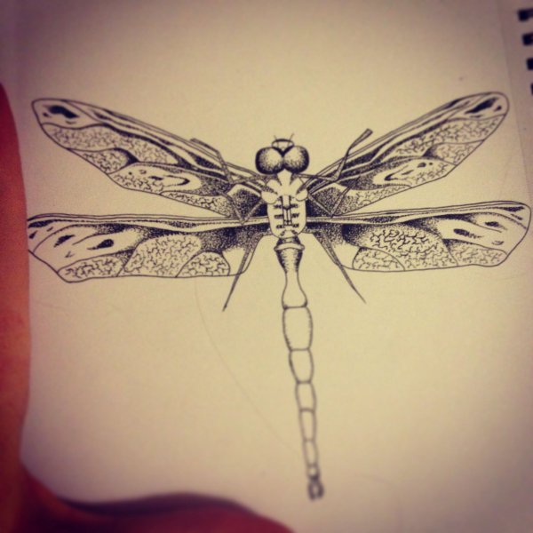 Тату Стрекоза эскизы