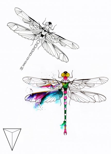 Стрекоза набросок