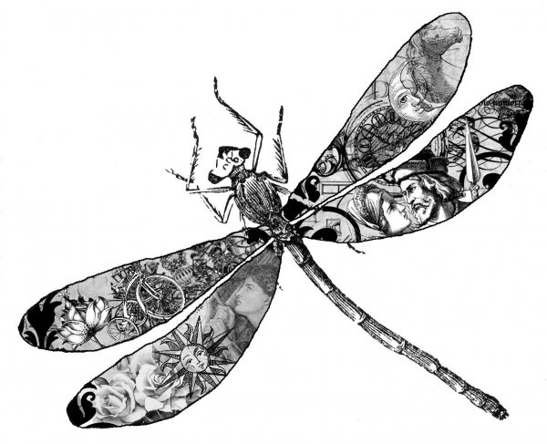 Стрекоза эскиз