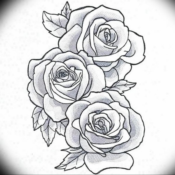Тату роза эскиз