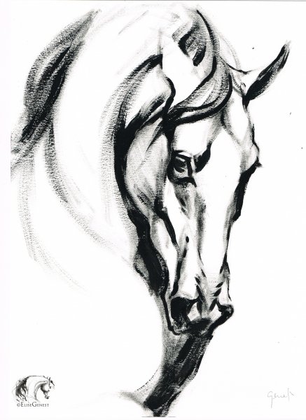 Тату лошадь эскизы