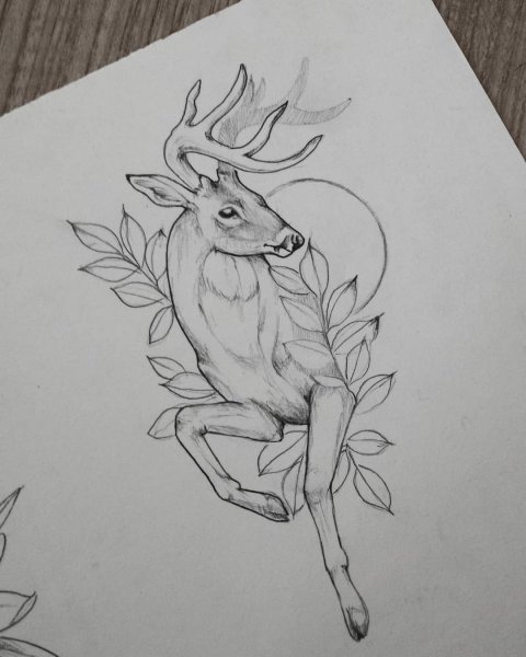 Олень эскиз
