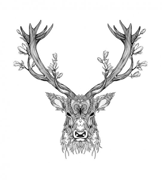 Голова оленя тату
