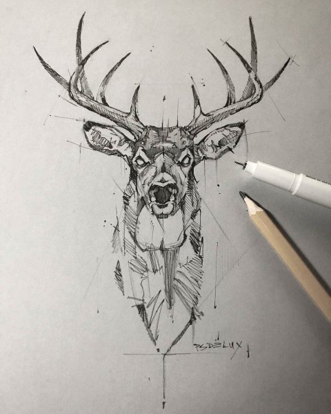 Олень тату Графика