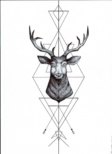 Графический олень