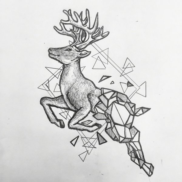 Олень геометрия